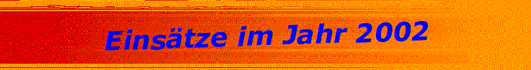 Eins�tze im Jahr 2002
