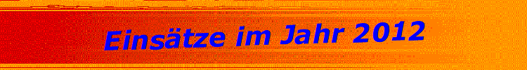 Eins�tze im Jahr 2012