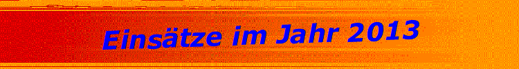 Eins�tze im Jahr 2013