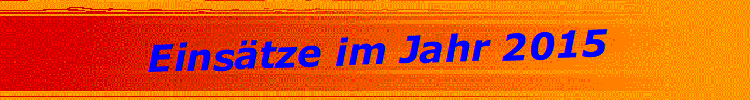 Eins�tze im Jahr 2015
