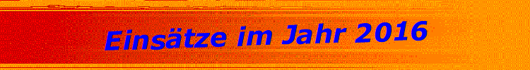 Eins�tze im Jahr 2016