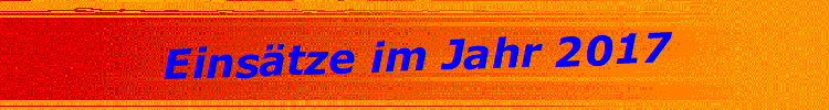 Eins�tze im Jahr 2017