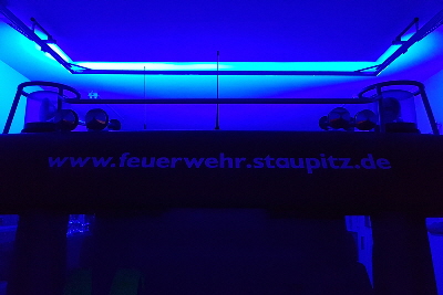 FF_Staupitz