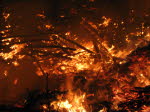 Osterfeuer (86)